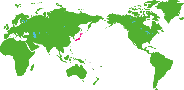 Globalmap